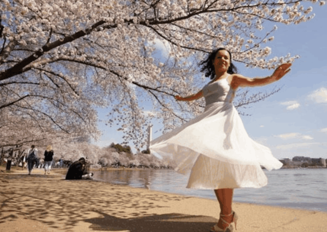 Pesona Sakura Tidal Basin AS Gaet Wisatawan