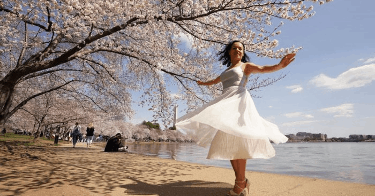 Pesona Sakura Tidal Basin AS Gaet Wisatawan