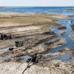 Sungai Eufrat Mengering