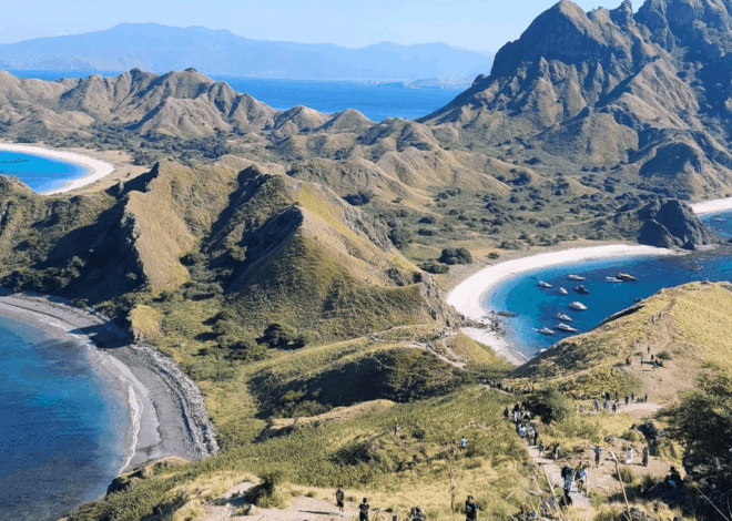 Wajib Tahu! 5 Alasan Liburan ke Pulau Komodo Harus Masuk Bucket List