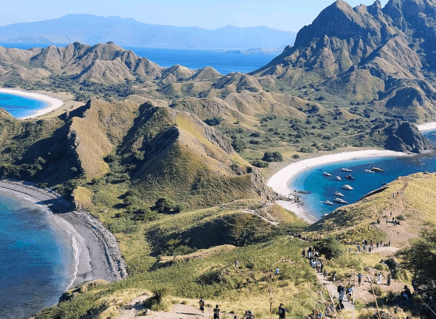 Wajib Tahu! 5 Alasan Liburan ke Pulau Komodo Harus Masuk Bucket List