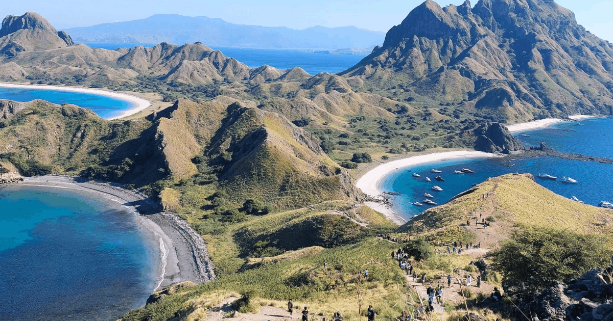 Wajib Tahu! 5 Alasan Liburan ke Pulau Komodo Harus Masuk Bucket List