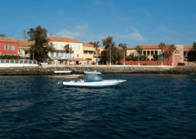 Menteri Senegal Dilarang Dinas ke Luar Negeri Terbaru Internasional