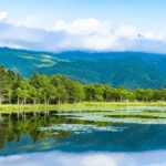 Jepang ingin lebih banyak wisman