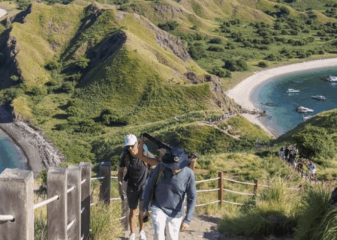 Menhut Jelaskan Alasan Pembatasan Turis di TN Komodo: Demi Kelestarian Ekosistem!