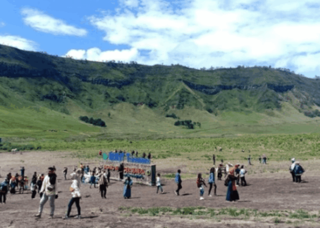 Sabana Indah di Indonesia: Selain Bukit Warinding, Ini Daftar Padang Rumput yang Wajib Anda Kunjungi!