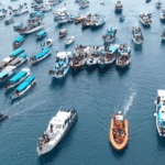 Nelson asal Portugal ikut