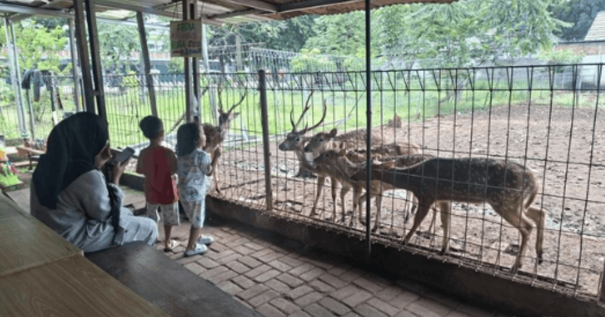 Taman Rusa Bintik Putih Oase Gratis Warga Lokal