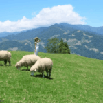 Taiwan Leisure Farm Fair 2026