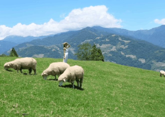 Taiwan Leisure Farm Fair 2026: Intip Serunya Liburan ke Desa