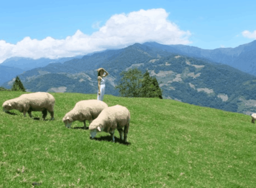 Taiwan Leisure Farm Fair 2026: Intip Serunya Liburan ke Desa