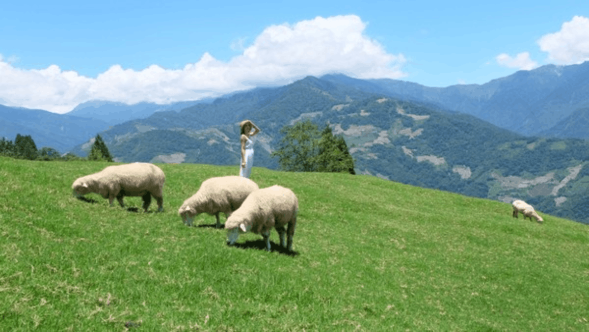 Taiwan Leisure Farm Fair 2026: Intip Serunya Liburan ke Desa