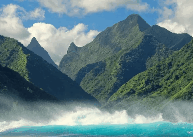 Fafaru Kuliner Tahiti: Aroma Menyengat dengan Rasa yang Lezat