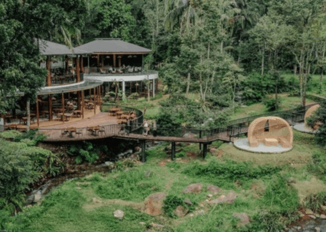 Rencana Liburan? Ini 11 Destinasi Hits Wisata Bogor yang Wajib Dikunjungi