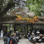 Penyelamatan Bandung Zoo