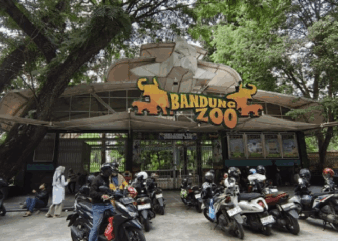 Penyelamatan Bandung Zoo: Pemerintah Prioritaskan Nasib Satwa