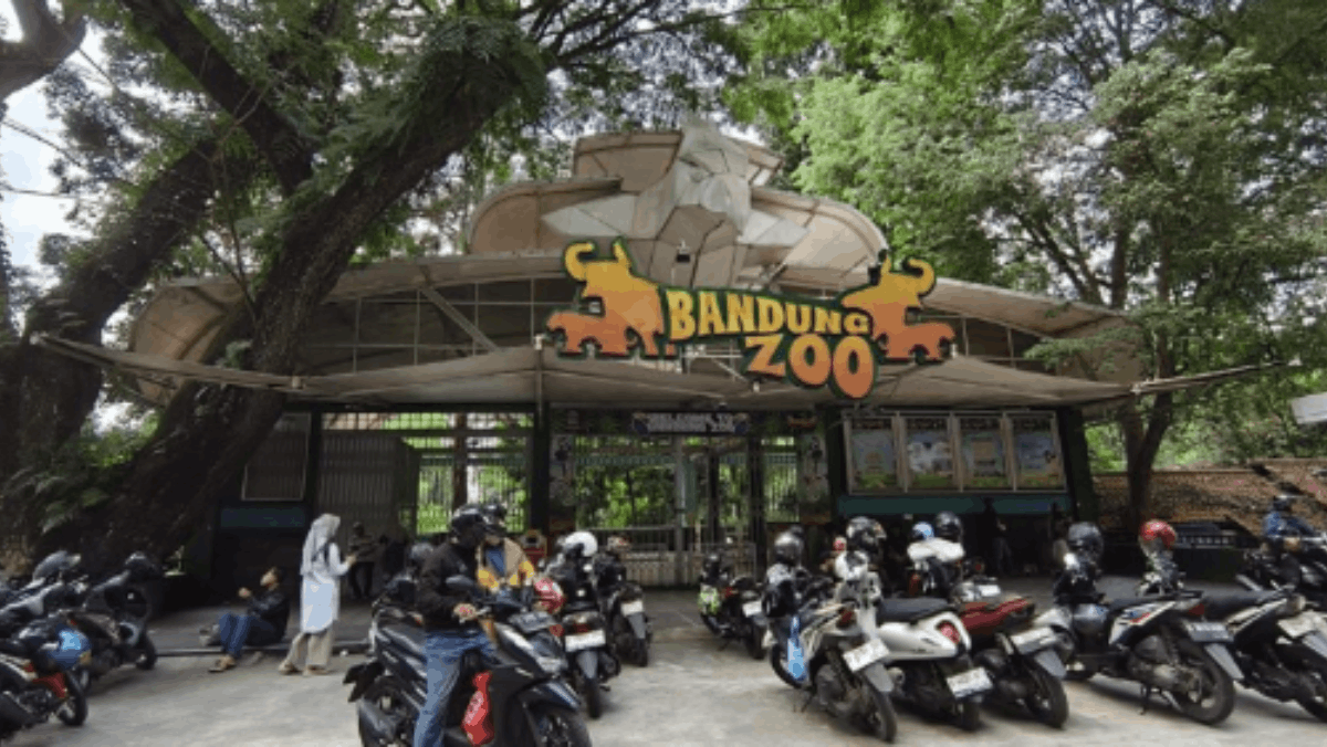 Penyelamatan Bandung Zoo: Pemerintah Prioritaskan Nasib Satwa