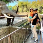 wisata malang - ilustrasi berita Wisata Malang: Liburan ke Malang Bareng Anak: 5 Wisata Edukasi dan Wahana Seru yang…