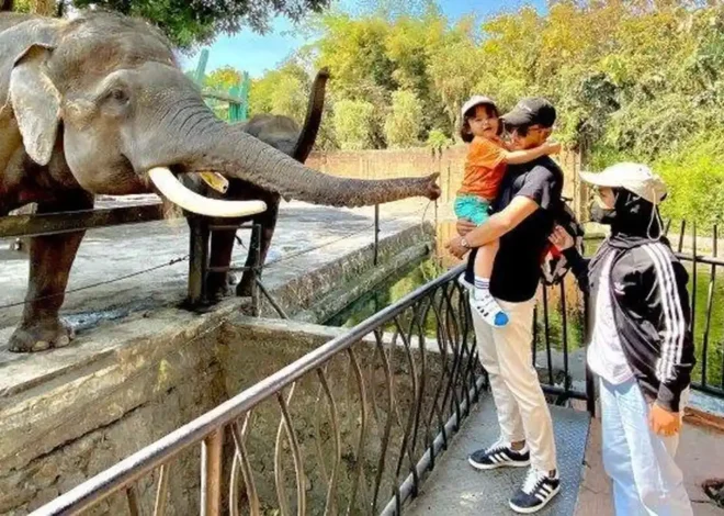 Wisata Malang: Liburan ke Malang Bareng Anak: 5 Wisata Edukasi dan Wahana Seru yang Wajib Dikunjungi