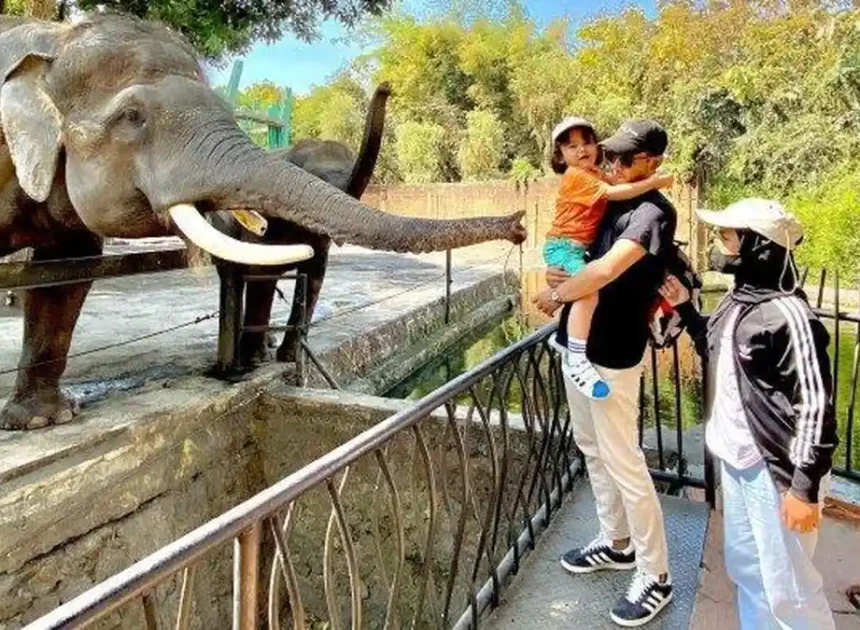 Wisata Malang: Liburan ke Malang Bareng Anak: 5 Wisata Edukasi dan Wahana Seru yang Wajib Dikunjungi