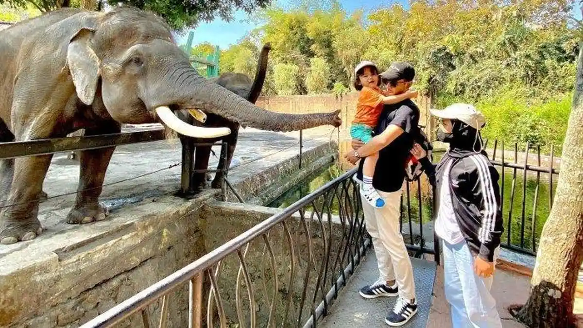 wisata malang Wisata Malang: Liburan ke Malang Bareng Anak: 5 Wisata Edukasi… wisata malang - ilustrasi berita Wisata Malang: Liburan ke Malang Bareng Anak: 5 Wisata Edukasi dan Wahana Seru yang…