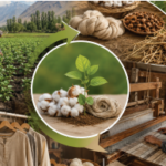 farm to fabric - ilustrasi berita Mengintegrasikan Handloom dan Pertanian: Mewujudkan Farm to Fabric Loop