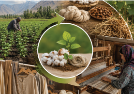 farm to fabric Mengintegrasikan Handloom dan Pertanian: Mewujudkan Farm to… farm to fabric - ilustrasi berita Mengintegrasikan Handloom dan Pertanian: Mewujudkan Farm to Fabric Loop