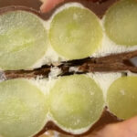 grape yogurt bark - ilustrasi berita Resep Grape Yogurt Bark, Dessert Sehat, Mudah dan Menyegarkan