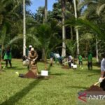 wisata alam bogor - ilustrasi berita 6 wisata alam Bogor yang ramah lansia, nyaman dan mudah diakses