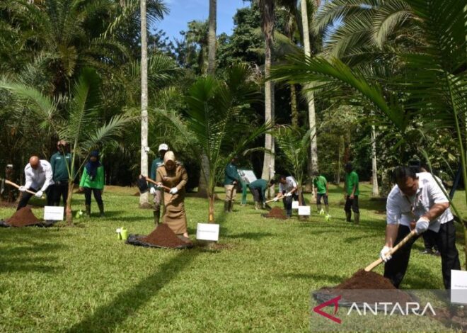 6 wisata alam Bogor yang ramah lansia, nyaman dan mudah diakses