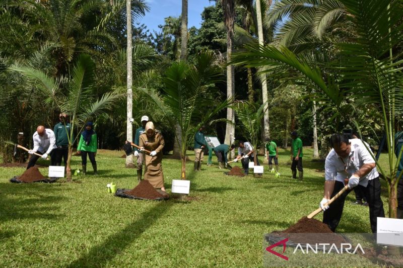 wisata alam bogor 6 wisata alam Bogor yang ramah lansia, nyaman dan mudah… wisata alam bogor - ilustrasi berita 6 wisata alam Bogor yang ramah lansia, nyaman dan mudah diakses