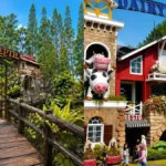 wisata bogor dekat hotel - ilustrasi berita 5 Rekomendasi Wisata Bogor Dekat Hotel, dari Kebun Raya hingga Suryakencana