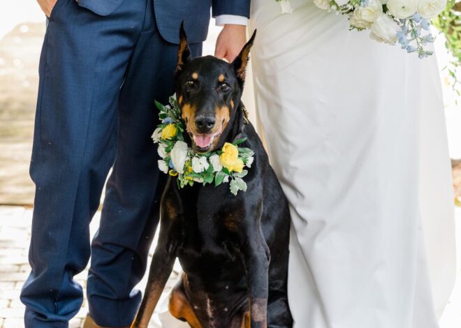 Coastal Wedding di The Farm at Eagles Ridge, Terinspirasi oleh Martha’s Vineyard