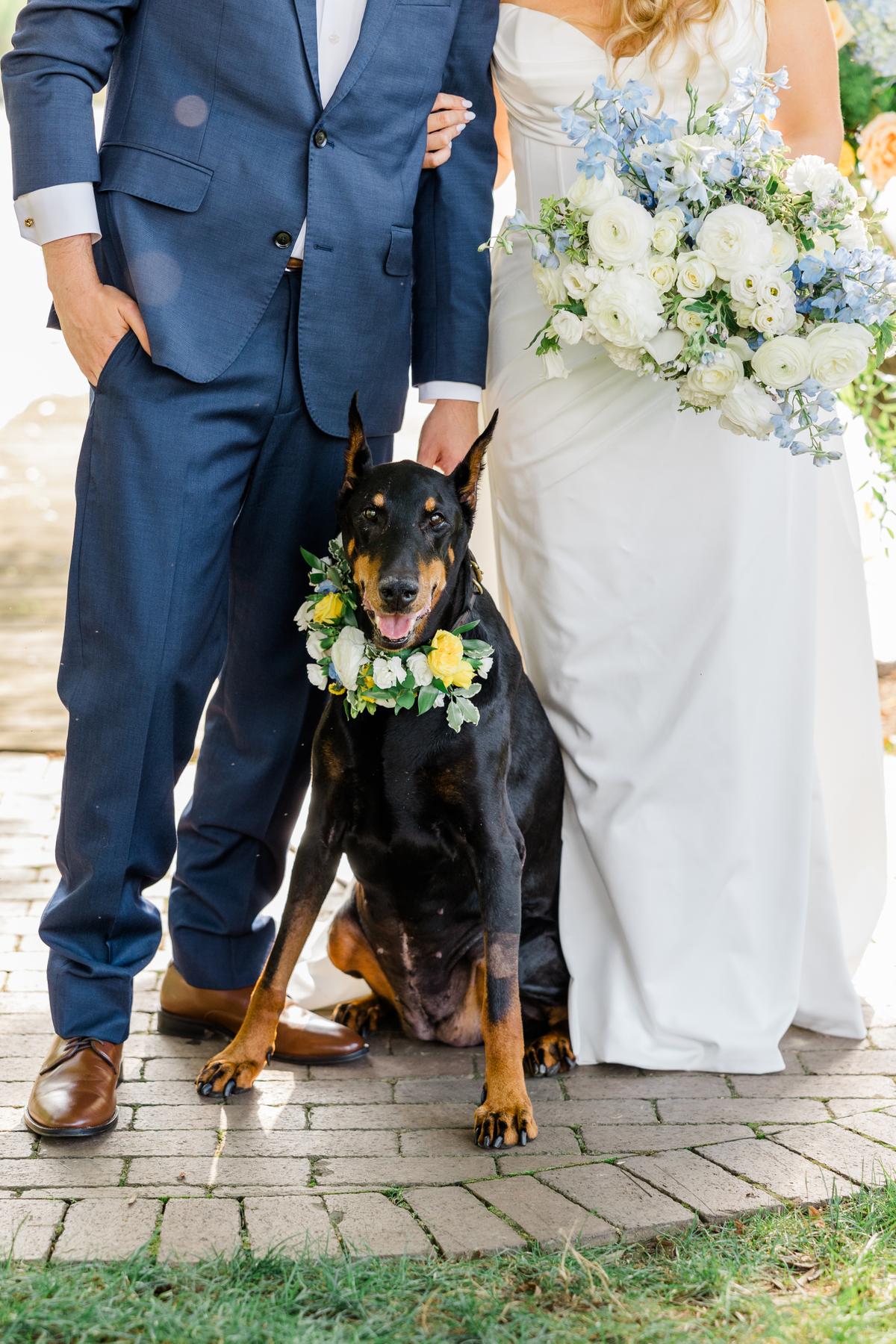 coastal wedding Coastal Wedding di The Farm at Eagles Ridge, Terinspirasi oleh… coastal wedding - ilustrasi berita Coastal Wedding di The Farm at Eagles Ridge, Terinspirasi oleh Martha’s Vineyard