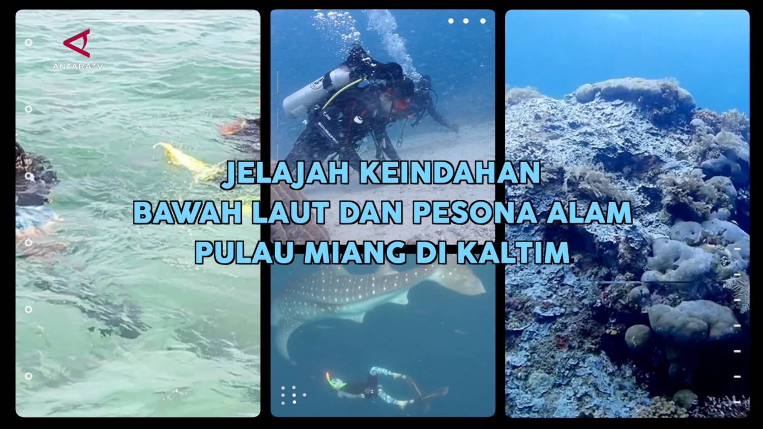 pulau miang Jelajah keindahan bawah laut dan pesona alam Pulau Miang di… pulau miang - ilustrasi berita Jelajah keindahan bawah laut dan pesona alam Pulau Miang di Kalimantan Timur